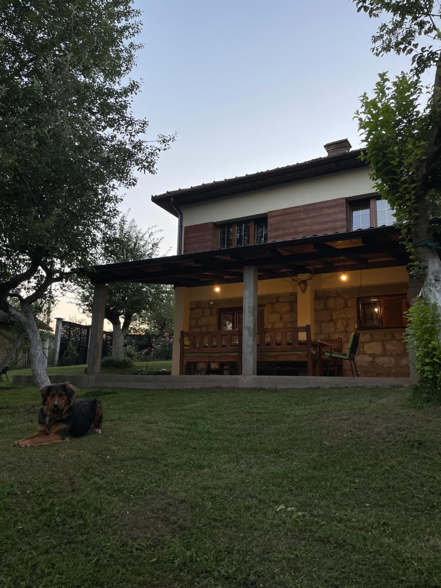 Vikendica Pasa Villa Pale Exterior photo